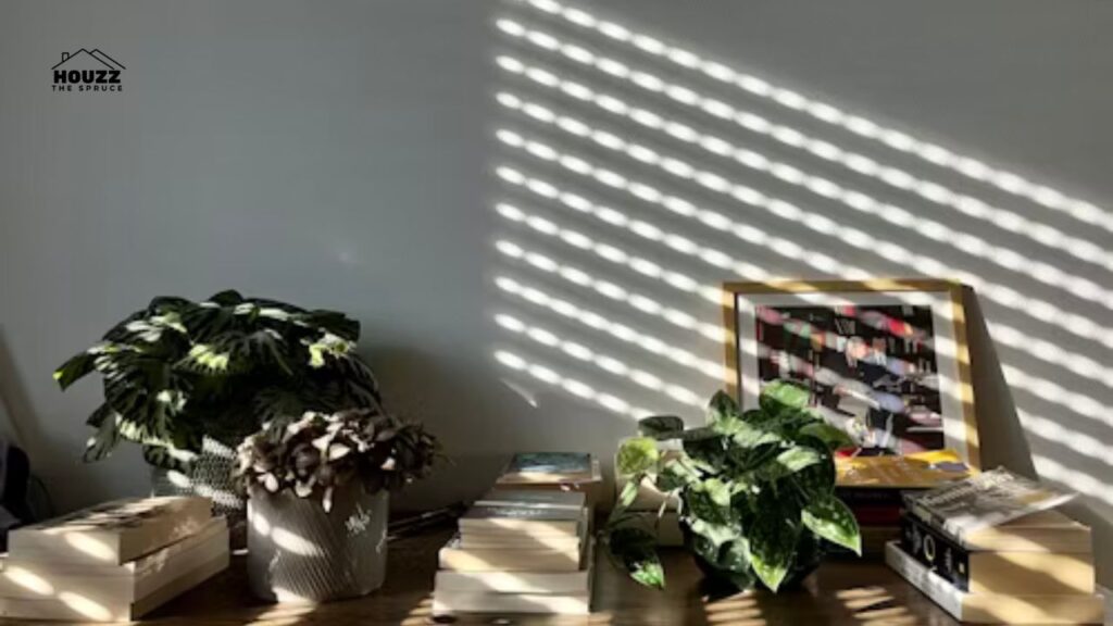 Sunroom Ideas: Creative Designs, Cozy Decor & Smart Budget Tips